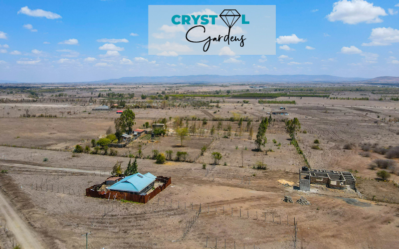 Crystal Gardens — gallery